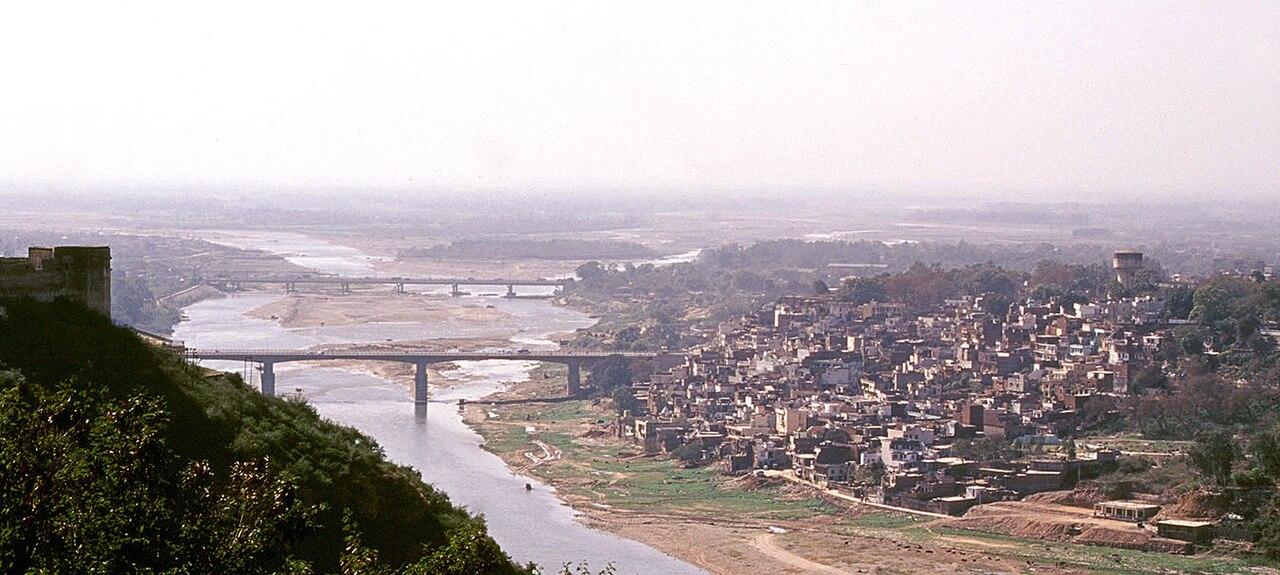 One Tree, A Hotter City: Jammu’s Environment Day Meets a Brutal June