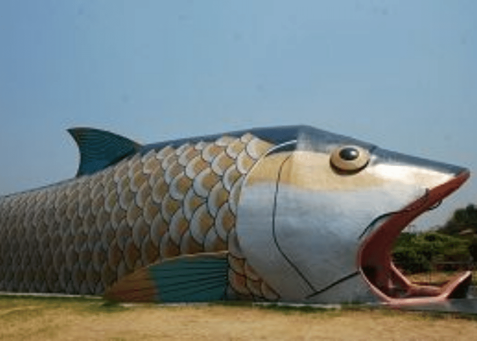 1,362 Fish and a 20-Metre Glass Tunnel: How Bagh-e-Bahu's Oceanarium Got Unstuck