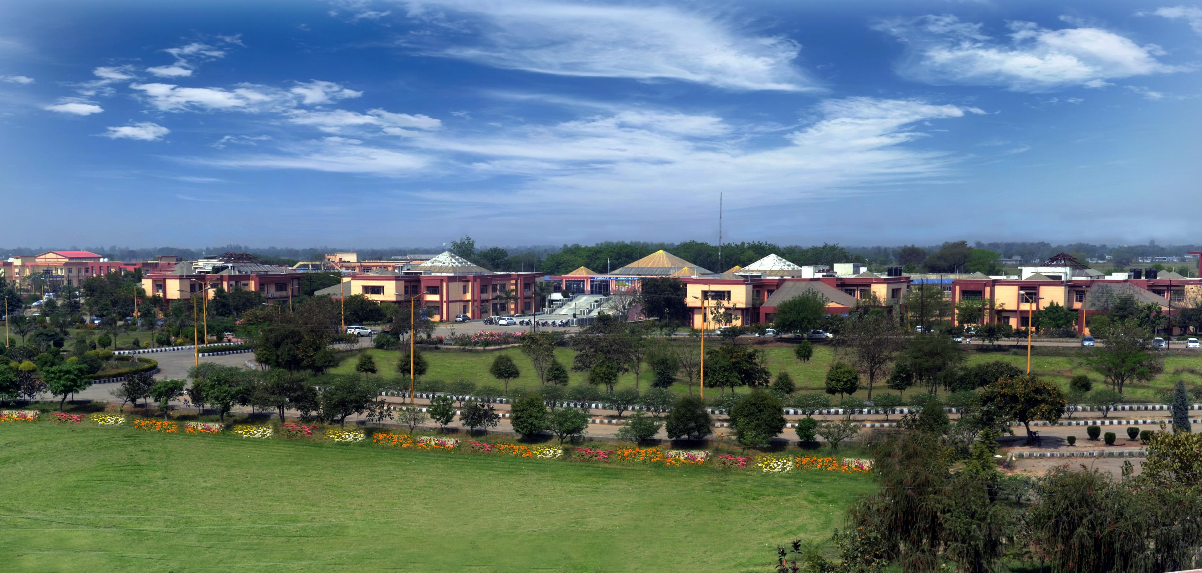 A One-Year Agriculture Diploma at Chatha Costs ₹13,000 a Term