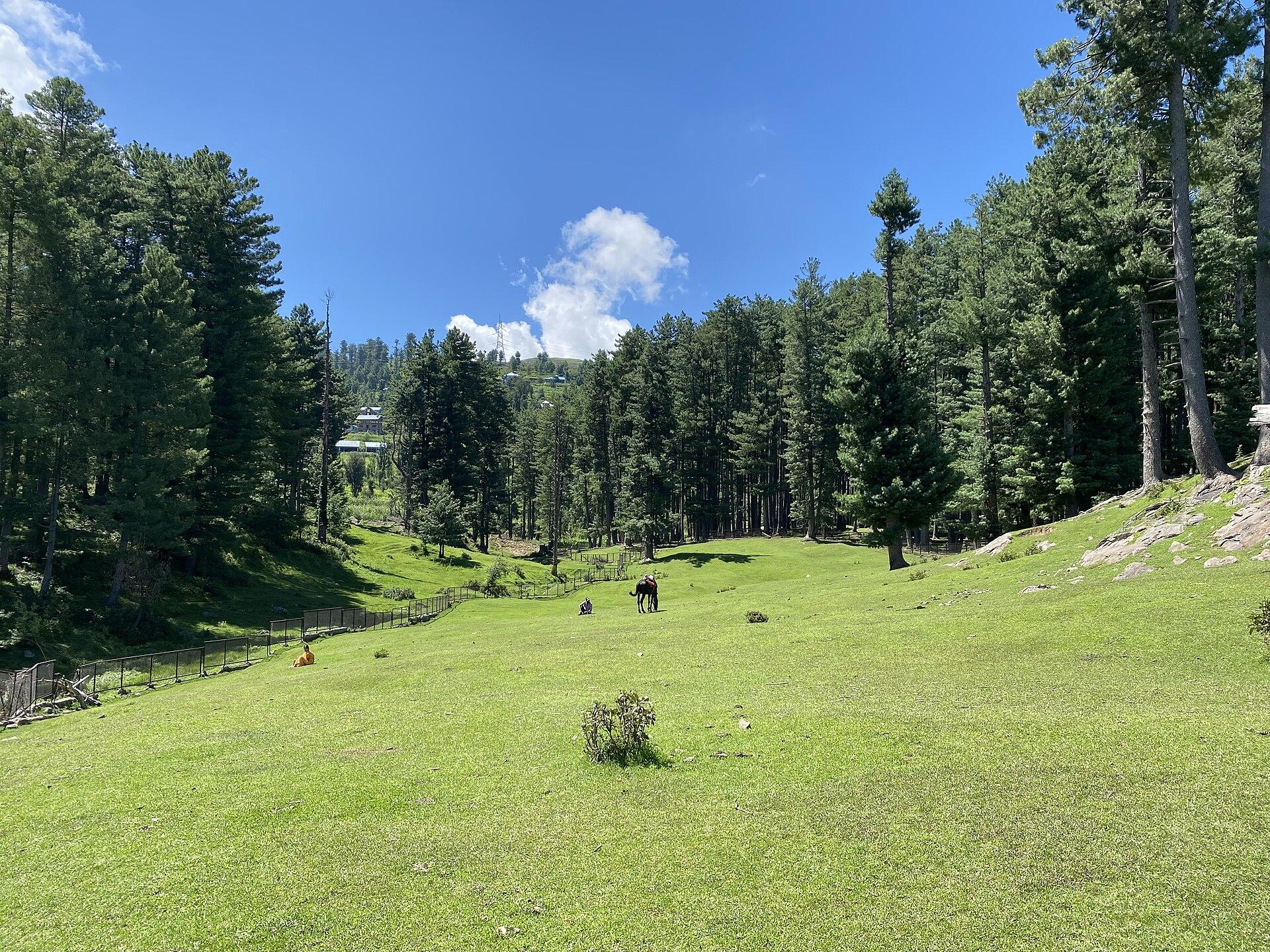 Sanasar Ropeway: NHLML Invites Bids to Study a 2.97-km Cable Car From the Nasri Tunnel — and Six Others Across J&K