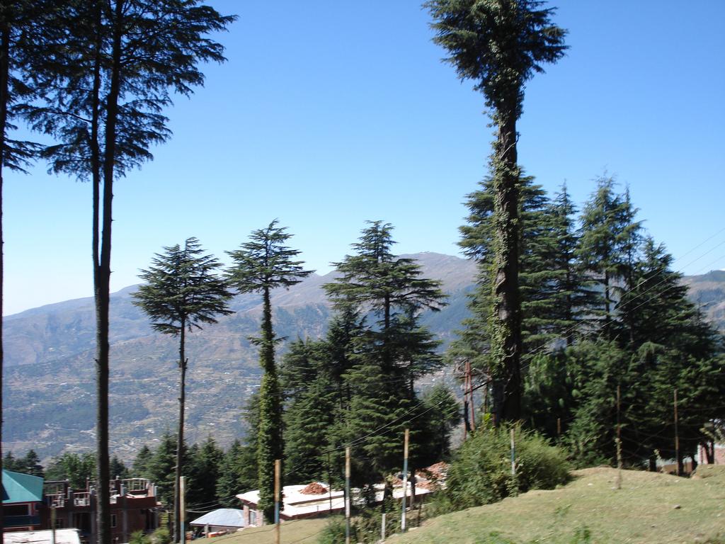 Beat the Heat: A Weekend Map of the Chenab Valley Cool-Outs