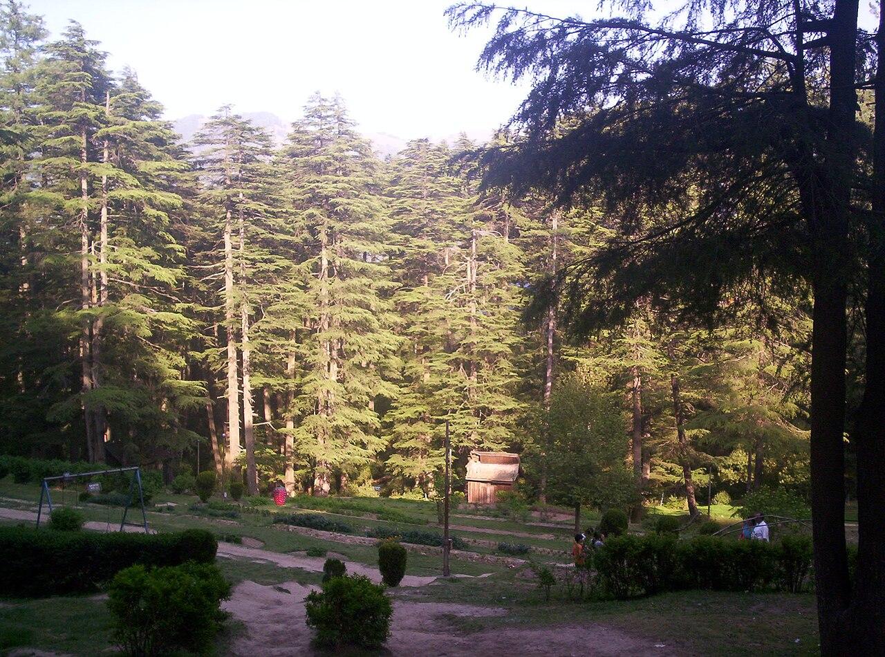Five Spring Weekends From Jammu: Where to Go When the Hills Turn Green