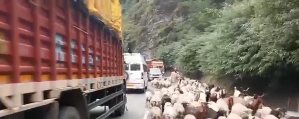 Driving to Patnitop This Weekend? Four Stretches of NH-44 Are Slowing Traffic Right Now