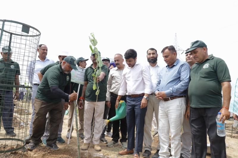 Jammu Reclaims a Former Dumpsite: 2,200 Saplings Planted Behind Tawi Wonderland