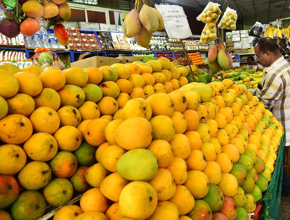 King of the Season: How Mango Takes Over Jammu’s Menus