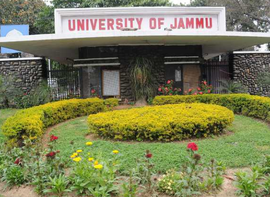 Unpaid Internships Are Not a Rite of Passage. Jammu Colleges Can Set a Better Floor.